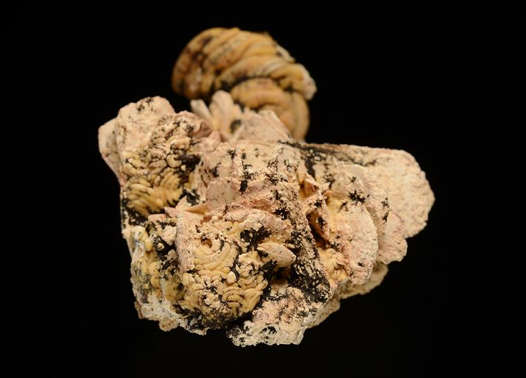 HYDROXYLAPATITE after VIVIANITE(?)