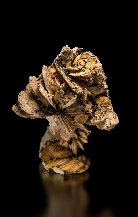 HYDROXYLAPATITE after VIVIANITE(?)