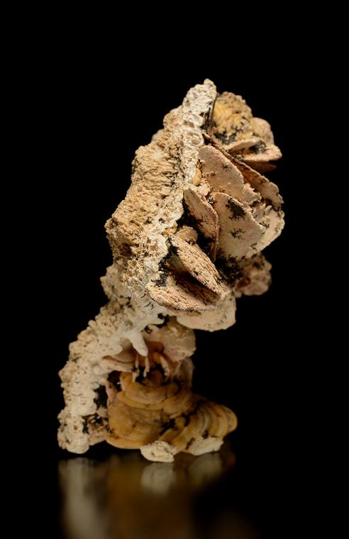 HYDROXYLAPATITE after VIVIANITE(?)