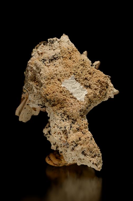 HYDROXYLAPATITE after VIVIANITE(?)