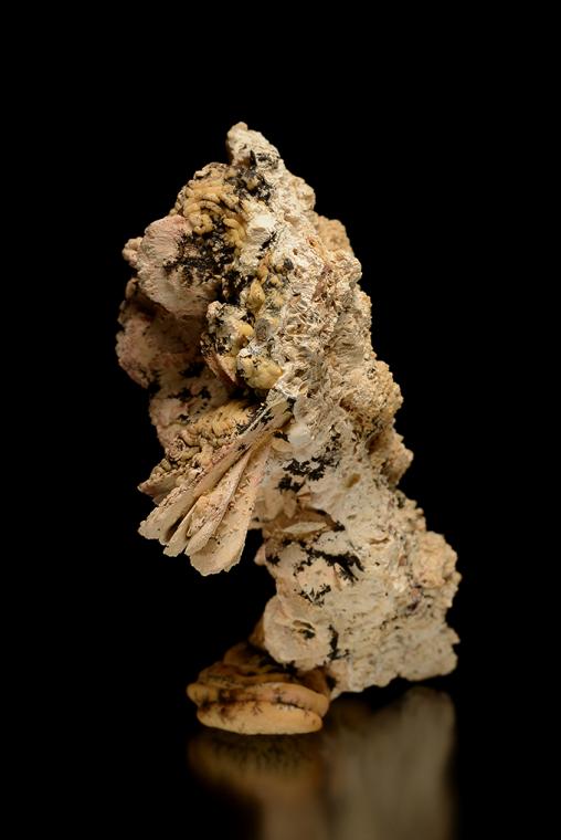 HYDROXYLAPATITE after VIVIANITE(?)