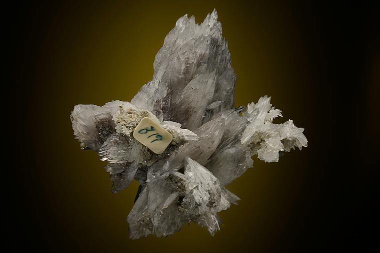 COLEMANITE