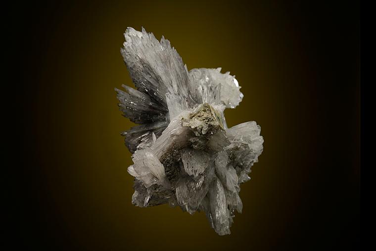 COLEMANITE