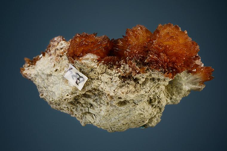 COLEMANITE