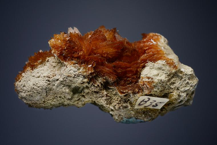 COLEMANITE