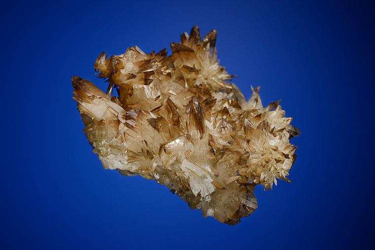 COLEMANITE