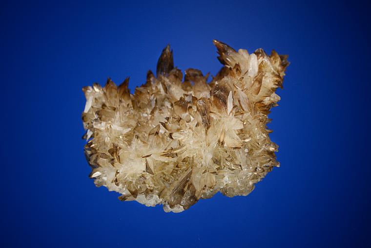 COLEMANITE