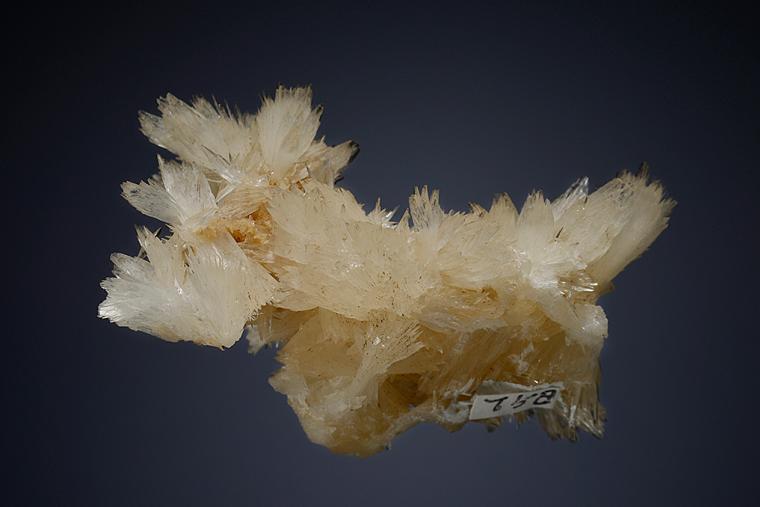 COLEMANITE