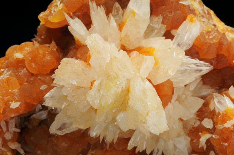 COLEMANITE on CALCITE