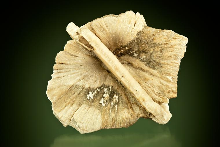 ULEXITE 