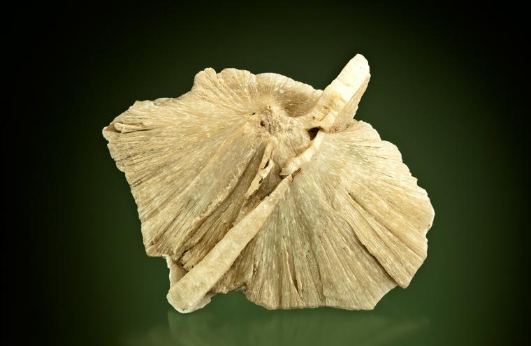 ULEXITE 