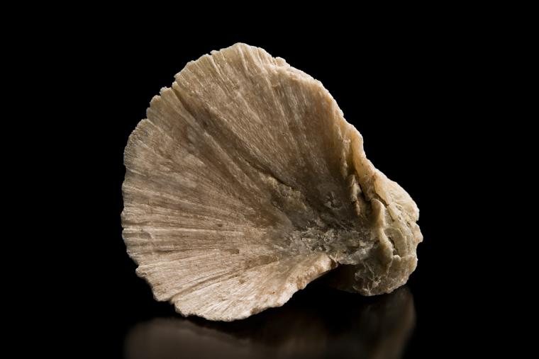 ULEXITE 
