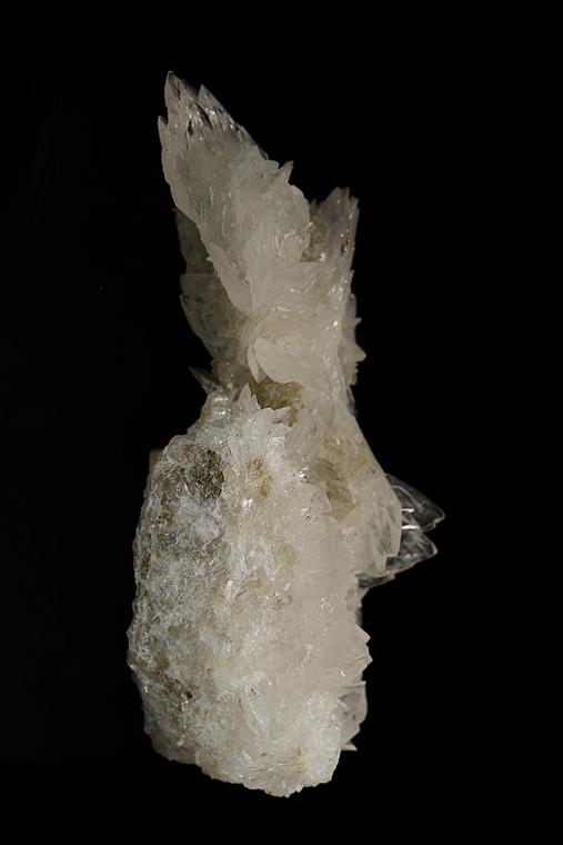 COLEMANITE