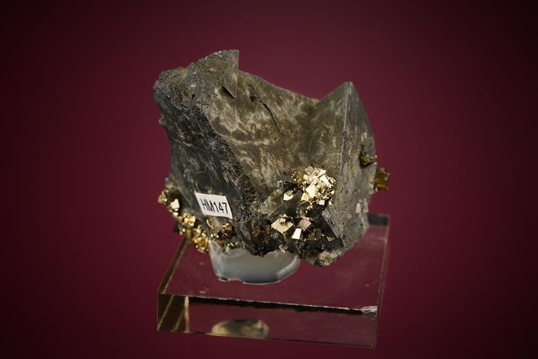 TETRAHEDRITE with PYRITE