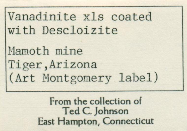 VANADINITE with DESCLOIZITE