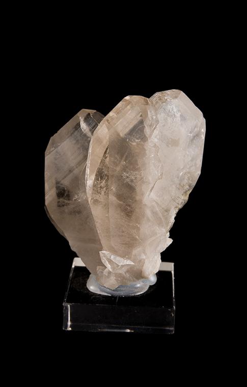 QUARTZ (Japan-law twin)