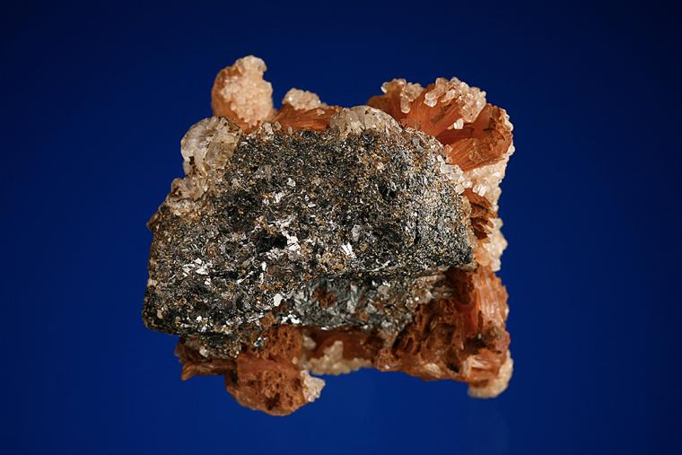 INESITE