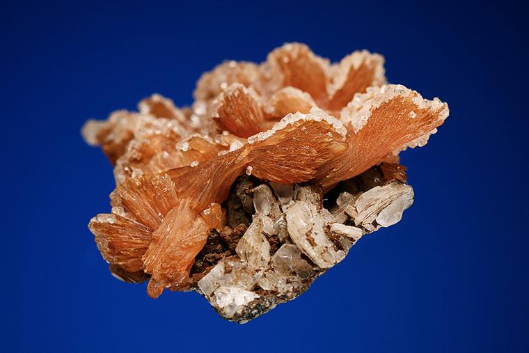 INESITE