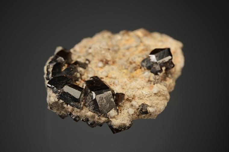 BUERGERITE