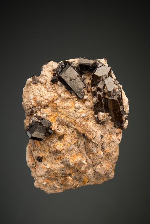 BUERGERITE