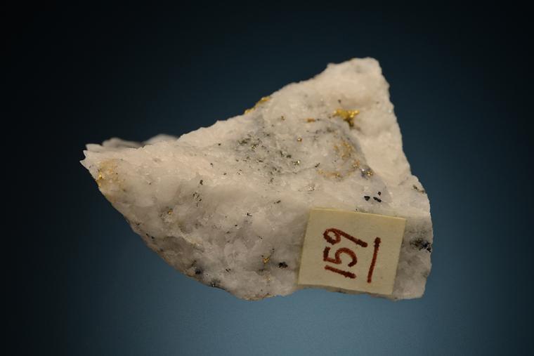 GOLD with HESSITE