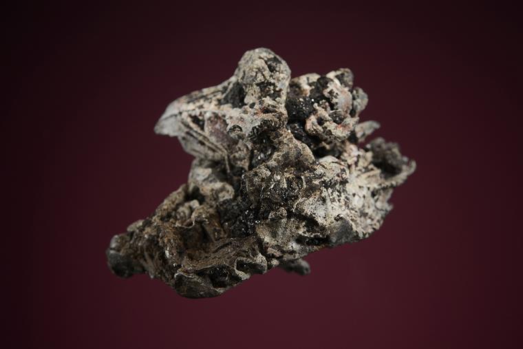 LEAD