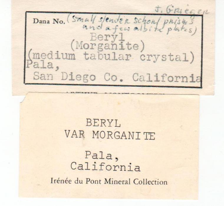 BERYL var. Morganite