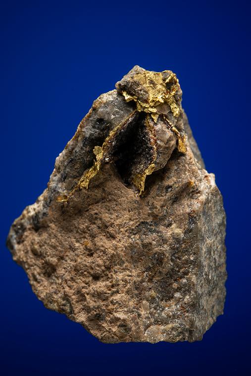 GOLD with SPHALERITE