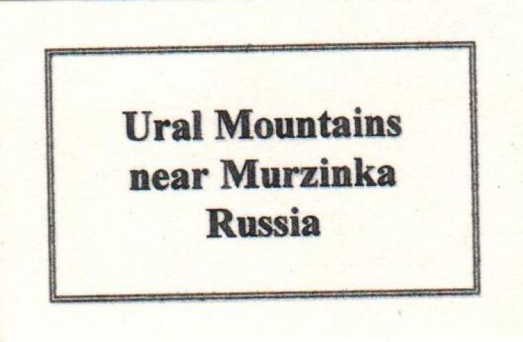 TOPAZ with MUSCOVITE