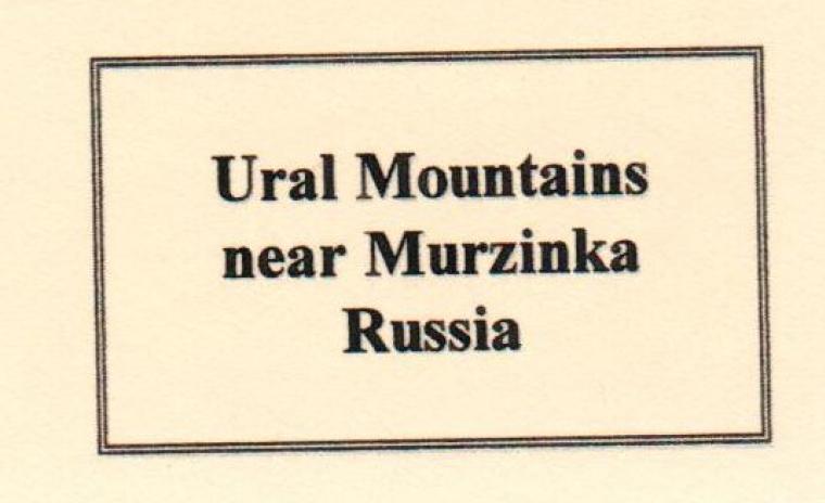 TOPAZ with MUSCOVITE