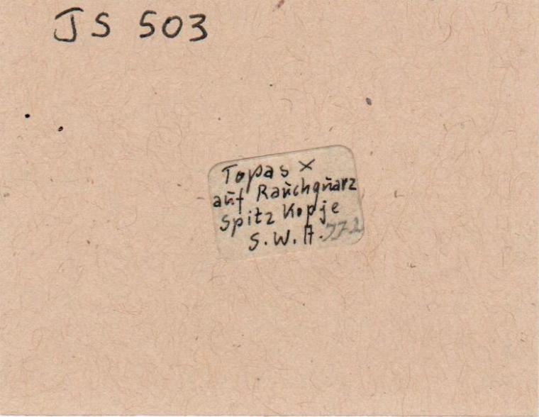 TOPAZ on QUARTZ var. Smoky