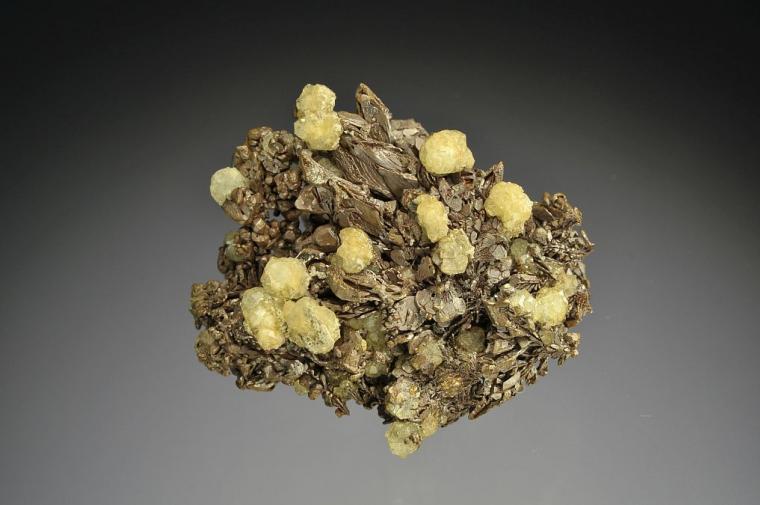 COPPER (SPINEL twins) with ANALCIME