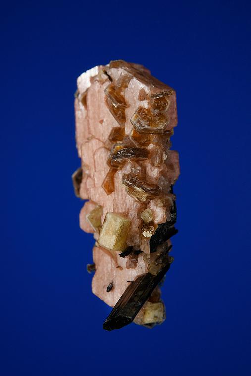 SERANDITE with AEGIRINE, LEUCOPHANITE and POLYLITHIONITE