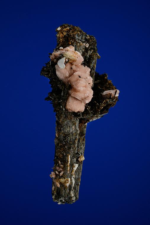 SERANDITE and ASTROPHYLLITE on AEGIRINE
