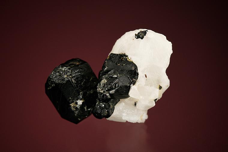 PARGASITE (type locality) (repaired)