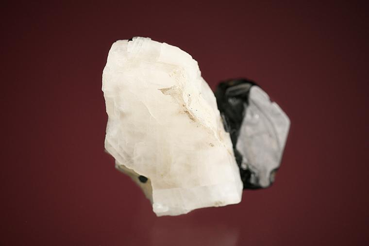 PARGASITE (type locality) (repaired)