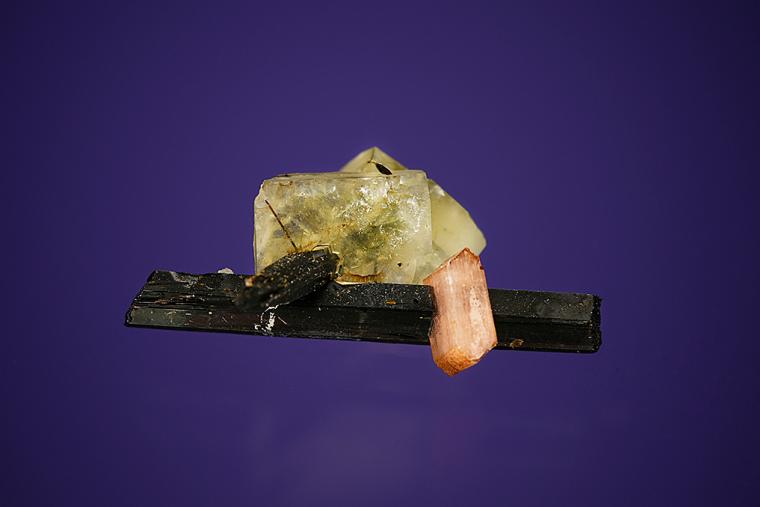 LEUCOPHANITE and SERANDITE on AEGIRINE