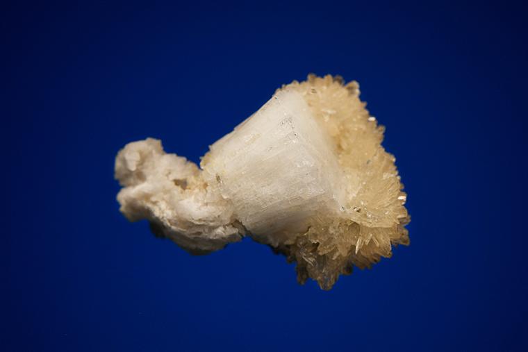 LEIFITE