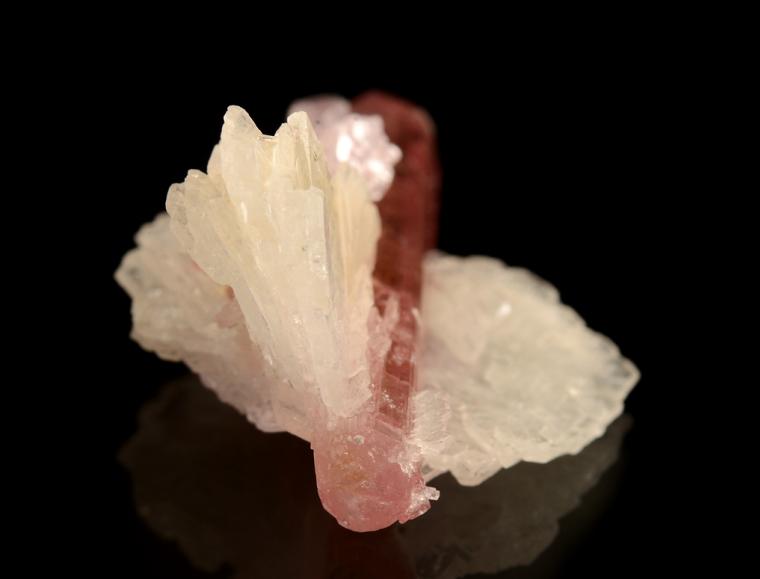 ELBAITE with LEPIDOLITE and ALBITE