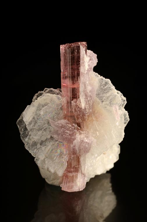 ELBAITE with LEPIDOLITE and ALBITE