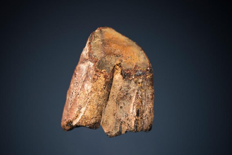 FERGUSONITE