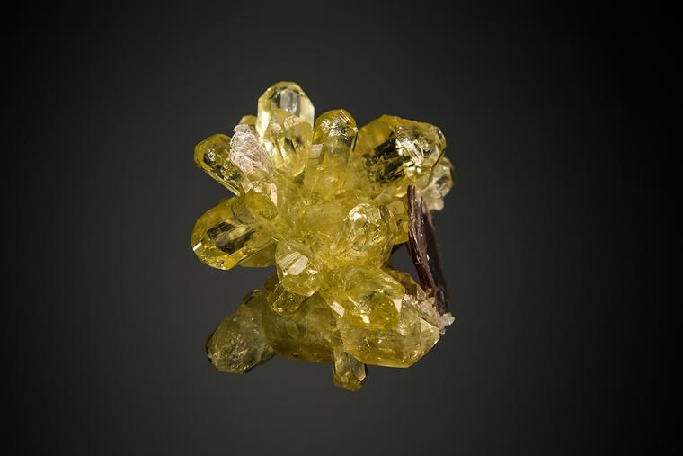 BRAZILIANITE with MUSCOVITE