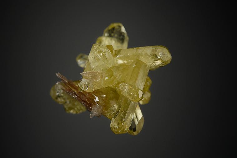 BRAZILIANITE with MUSCOVITE