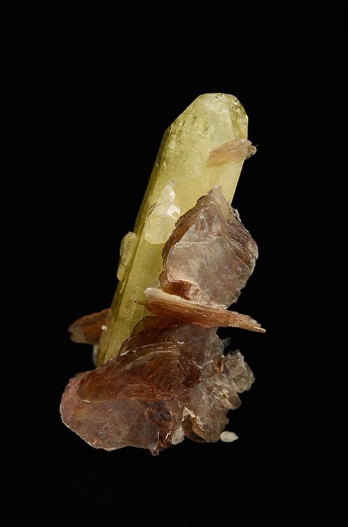 BRAZILIANITE with MUSCOVITE