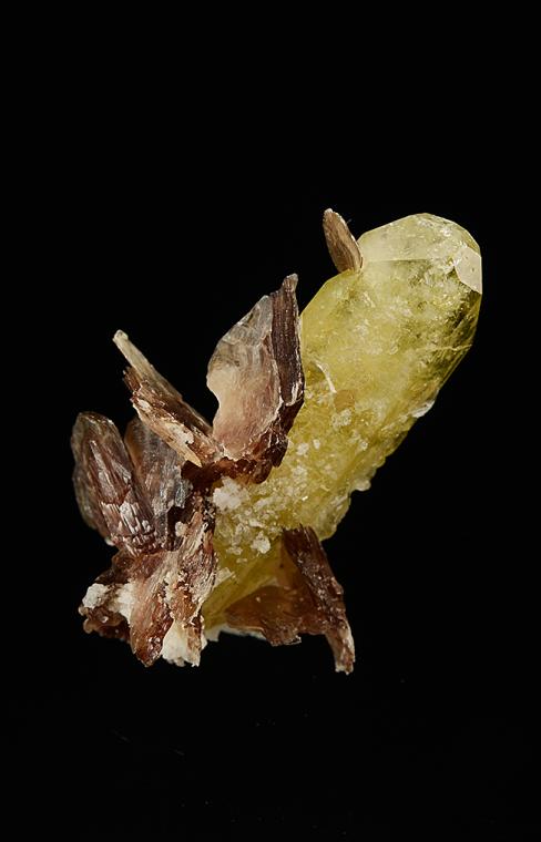 BRAZILIANITE with MUSCOVITE