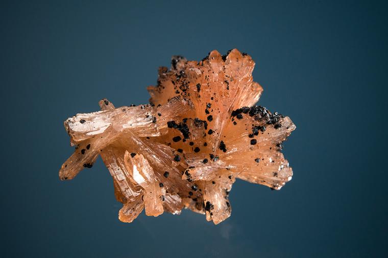 BARBOSALITE on HUREAULITE