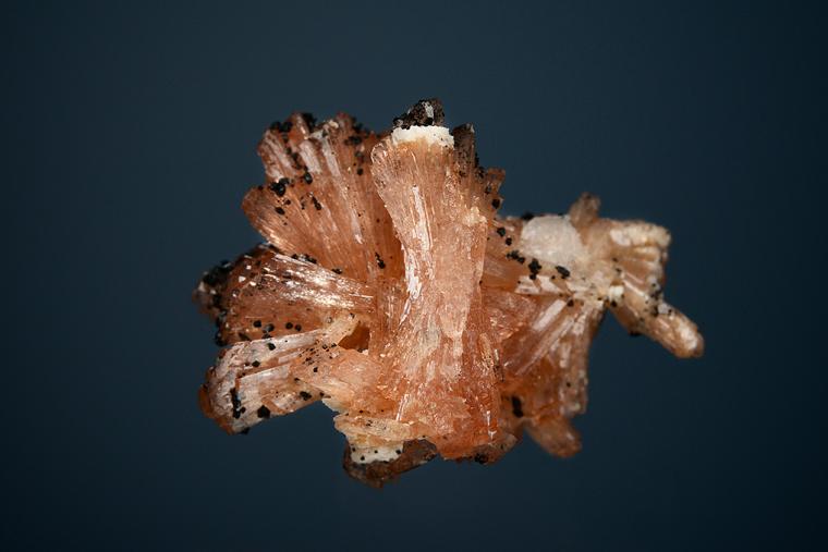 BARBOSALITE on HUREAULITE