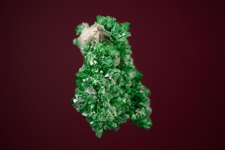 Cuprian ADAMITE