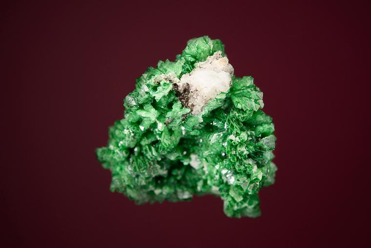 Cuprian ADAMITE