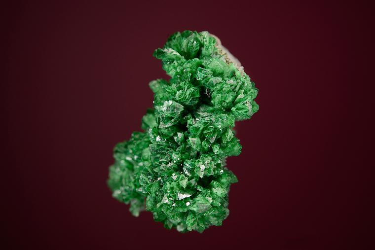 Cuprian ADAMITE